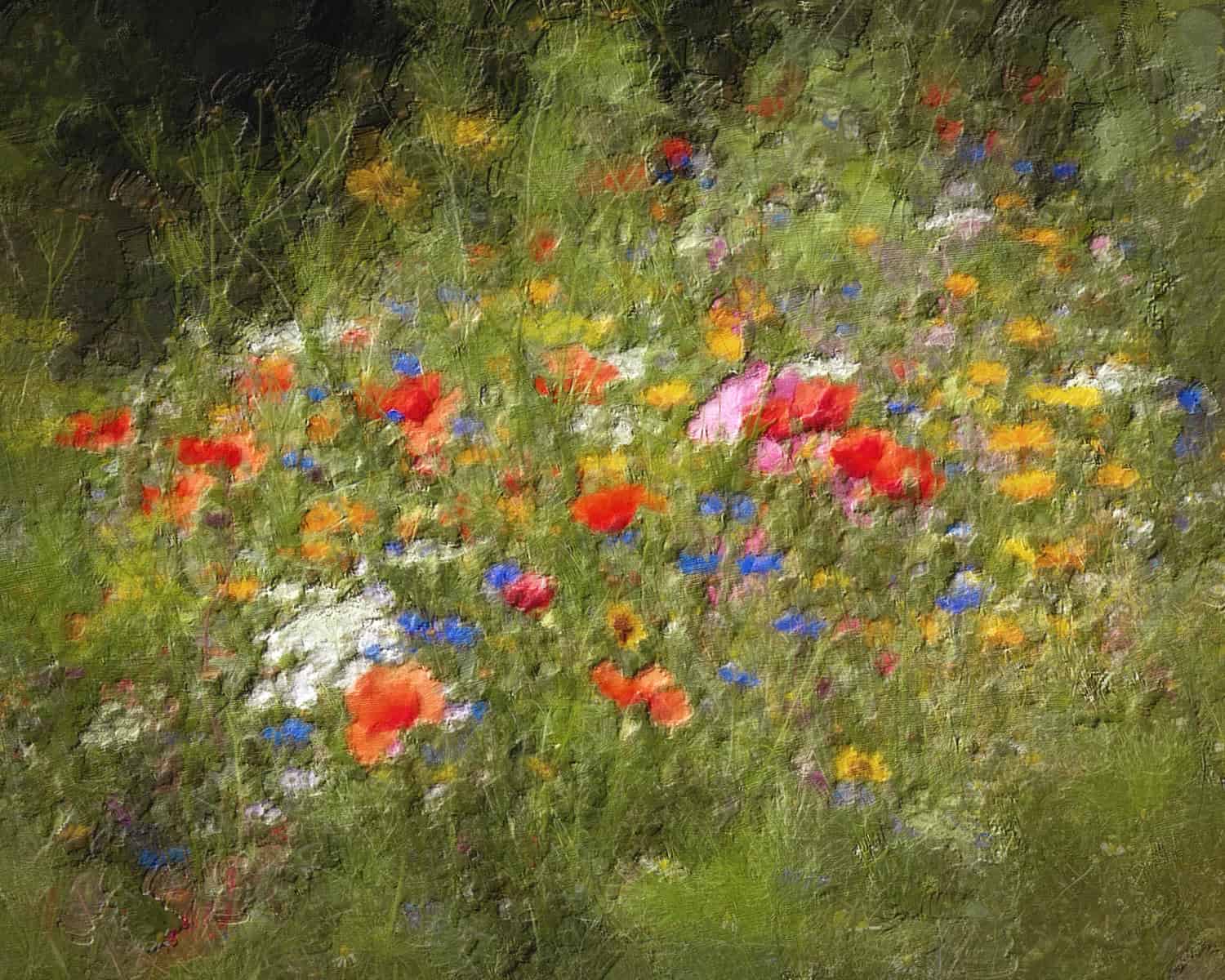 Remembrance Day Reflections: Honoring the Past in France
